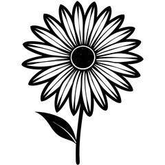 Daisy flower silhouette vector illustration.