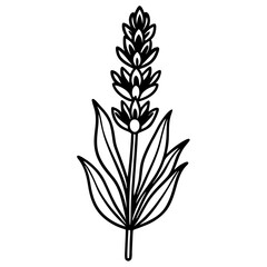 Lavender Silhouette Vector Illustration – Icon, Line Art, Clipart for Logos and Designs.