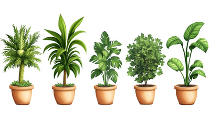 Fototapeta premium House Plant Set, Different Types of Indoor Plants, Vector Illustration, Isolated on White Background