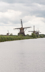 Naklejka premium Historic windmills in a row behinde the river with reed grass. Kinderdijk in Netherlands on a cloudy day.