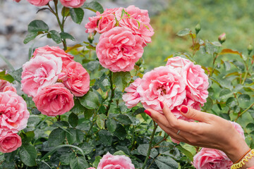 A young womans hand with a perfectly manicured nail, on a flower in garden