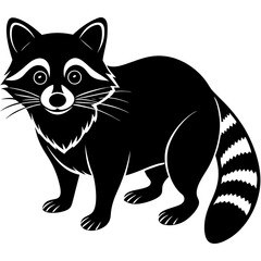 Obraz premium racoon silhouette vector