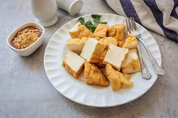 Fried tofu with dipping sauce in white plate on grey background, vagetarian food