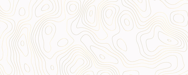 Topographic Map Pattern Featuring Wavy Contour Lines and Geometric Textures for Modern Landscape Design
