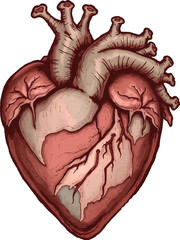 Heart of Humanity: The Core of Our Emotions"