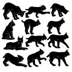 Lynx Silhouette Vector Set