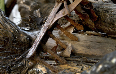 A broken earthen harrow rests on the edge of a wall in the garden of an abandoned house.