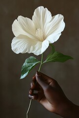 studio shot with the hand of a Young black woman gently holds a white flower against a brown background, showcasing nature's elegance; vertical poster