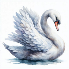 Watercolor swan on white background. AI