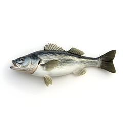 Fototapeta premium Bass