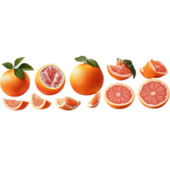 Grapefruit Collage Isolated On a White Background