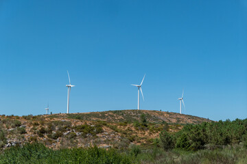 Energia sustentável com turbinas eólicas em harmonia com a natureza