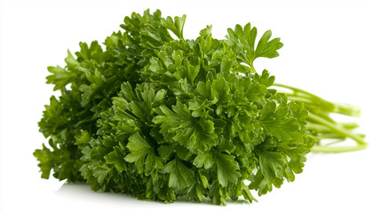 Fototapeta premium A fresh bunch of parsley, showcasing its vibrant green leaves, commonly used as a culinary herb for flavoring dishes.