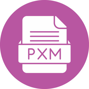 PXM File Format Vector Icon Design