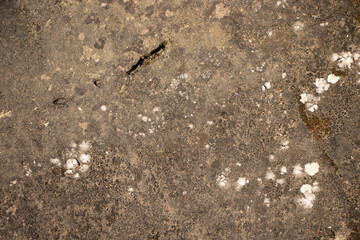 Gray brown grunge Abstract stone background texture of the stone wall Close-up, Light gray rock backdrop backdrop banner
