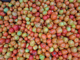 pile of fresh tomatoes in the farmer's harvest basket