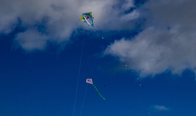 Wind dragons fly in the blue sky.