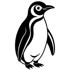 penguin on a white background