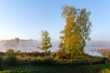 Episy swamp in the French Gâtinais Regional Nature Park
