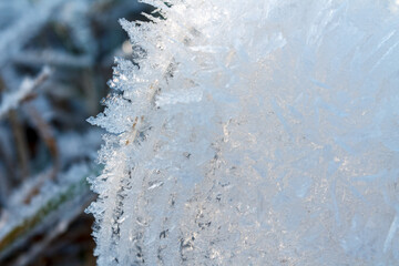 Frost sparkles on tree branches, frost creates icy patterns, and snow cover gives nature a winter wonderland