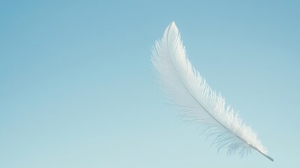 Obraz premium White Feather Floating