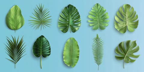 Tropical leaves on blue background