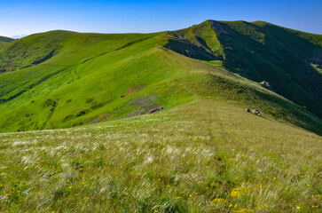 Mount Ara summit scenic view on summer morning (Aragatsotn province, Armenia)