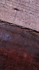 Obraz premium Wooden vintage textured background, copy space