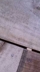 Wooden vintage textured background, copy space