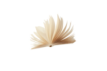 Open Book Pages - A Symbol of Knowledge and Literature