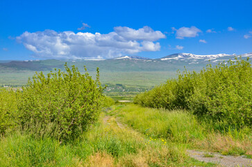 Mount Aragats scenic view from fruit gardens near Mount Ara (Aragatsotn province, Armenia) 