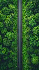 Aerial view of a winding road surrounded by lush green trees and foliage, showcasing nature's beauty and tranquility.