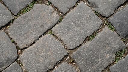 The texture of the stones. Paving stones on Red Square in Moscow