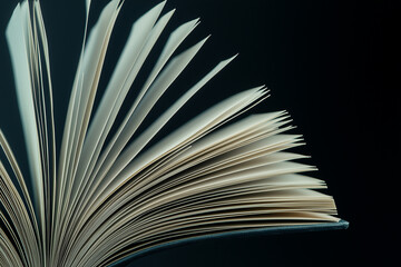 Close-Up of Open Book Pages Side View