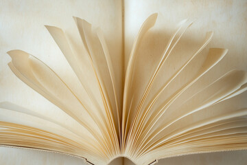 Close-Up of Open Book Pages Side View