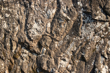 Naklejka premium Natural weather effect brown rock texture with cracks, Close-up of Rough mountain surface background for design,backdrop