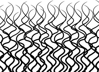Abstract vector pattern of black curly lines on a white background. Modern vector background. Wool. Hair, curls. For covers, interior, advertising