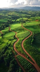 Obraz premium An aerial view of a vast green countryside with patches of farmland and winding dirt roads, showcasing the beauty and diversity of agricultural landscapes