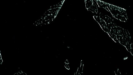 Broken Glass Alpha.
Transparent glass is broken into pieces and many cracks. Alpha channel.