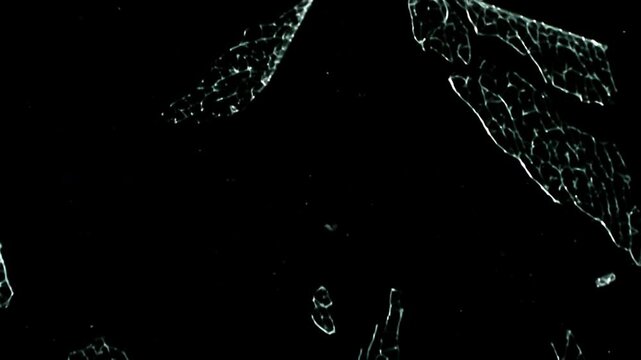 Broken Glass Alpha.
Transparent glass is broken into pieces and many cracks. Alpha channel.