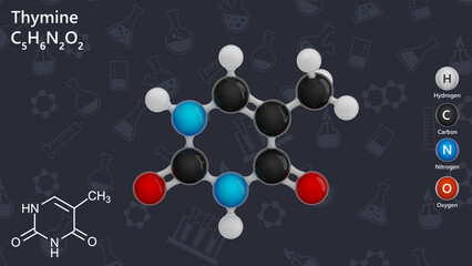 Molecule of the Thymine C5H6N2O2. Thymine is one of the four nucleotide bases in the nucleic acid DNA.Thymine is also known as 5-methyluracil, a pyrimidine nucleobase. Dark back. 3d illustration