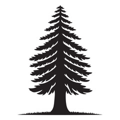 Obraz premium Redwood Tree Vector illustration in black and white - Sequoioideae Plant Silhouette Design 