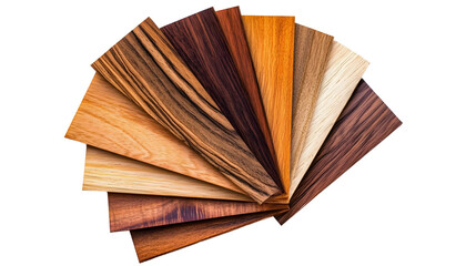 Wood Veneer Samples on White Background for Interior Design Selection