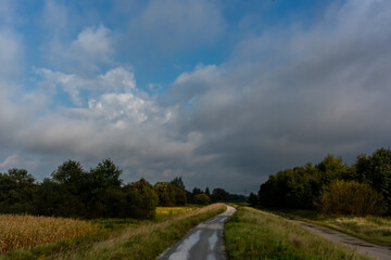 Rustic summer landscape after rain with a beautiful overcast sky and a path going off into the distance. Concept of rural life, tranquility and closeness to nature. . High quality photo