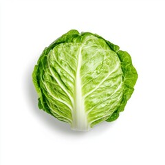 Obraz premium head of green cabbage, perfectly isolated on a clean white background, showcasing its vibrant layers and fresh texture