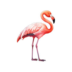 Pink flamingo standing tall with elegant neck curvature, suitable for tropical themed designs, nature concepts, or birdwatching enthusiasts. Generative AI