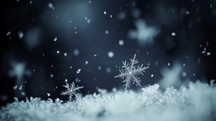 A serene winter scene featuring delicate snowflakes gently falling on a soft blanket of snow, creating a peaceful and magical atmosphere.