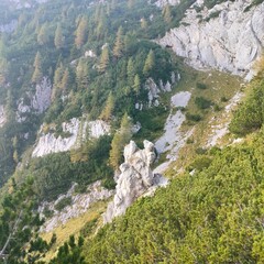 green and rocky landscape in the mountains