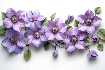 Obraz premium a bunch of purple and blue flowers