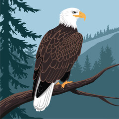 eagle vector design